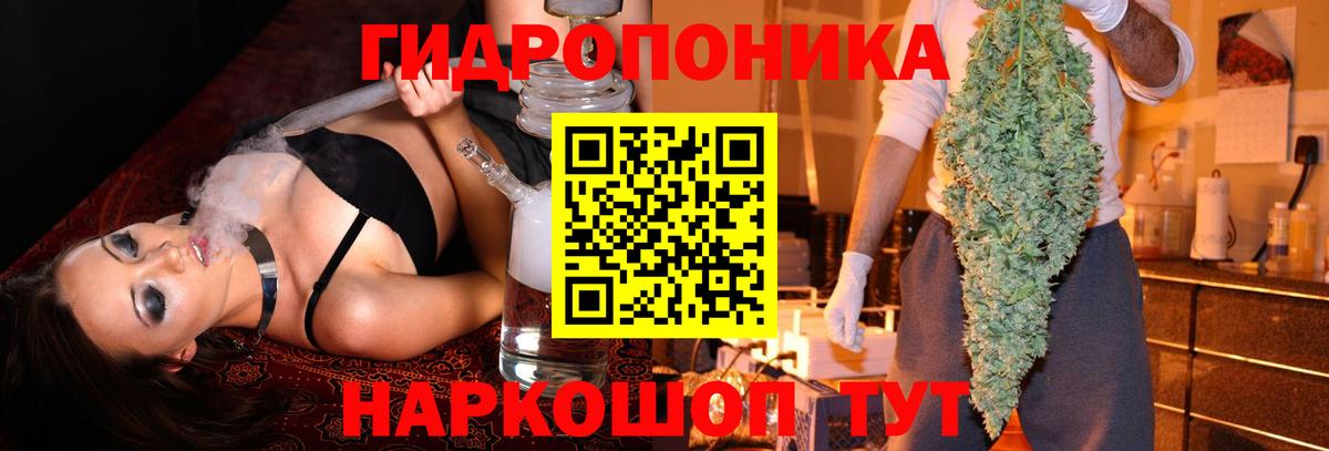 Бошки марихуана Bruce Banner Елабуга